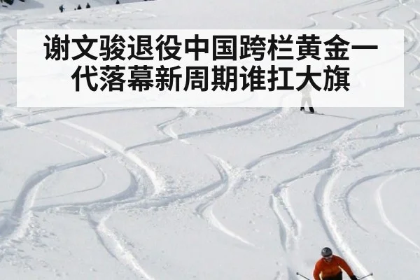 谢文骏退役中国跨栏黄金一代落幕新周期谁扛大旗